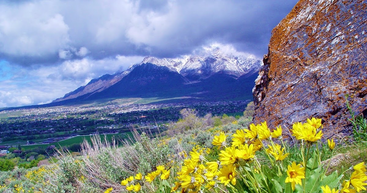 Dream Packer Trail Adventures North Ogden, Canal RoadBonneville Trail