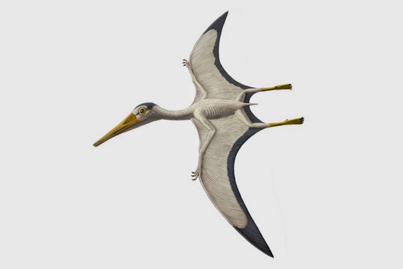 pterosaurs flight in the age of dinosaurs
