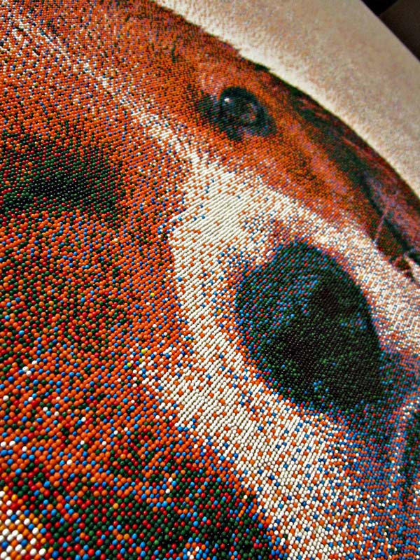 beagle portrait made of sprinkles