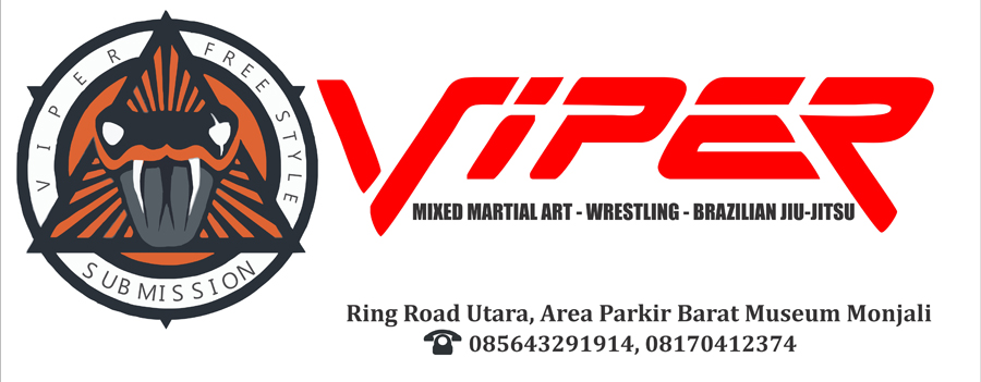 Synergy Viper MMA Yogyakarta