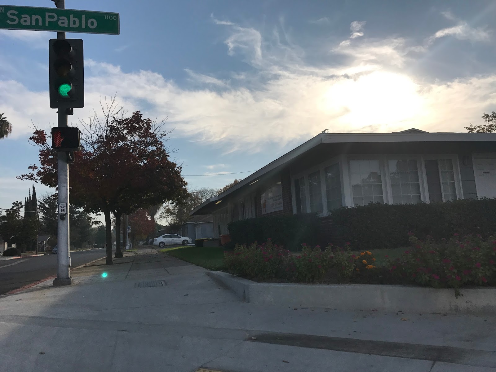 Orange dog logo real estate in Tower District, Fresno