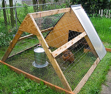 Build Cheap Chicken Coops ~ Best Chicken Coop Guide