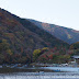 Autumn view of Arashiyama & Iwatayama Monkey Park (嵐山モンキーパーク)