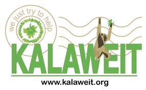 KALAWEIT FM PALANGKARAYA