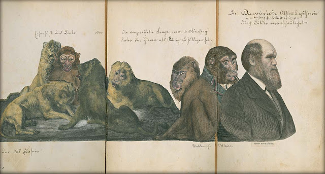 Anti-Darwinian foldout, by an anonymous German artist 1874. Illustrated By . . . marchmatron.com Anti-Darwinian foldout, by an anonymous German artist 1874. Illustrated By . . . marchmatron.com
