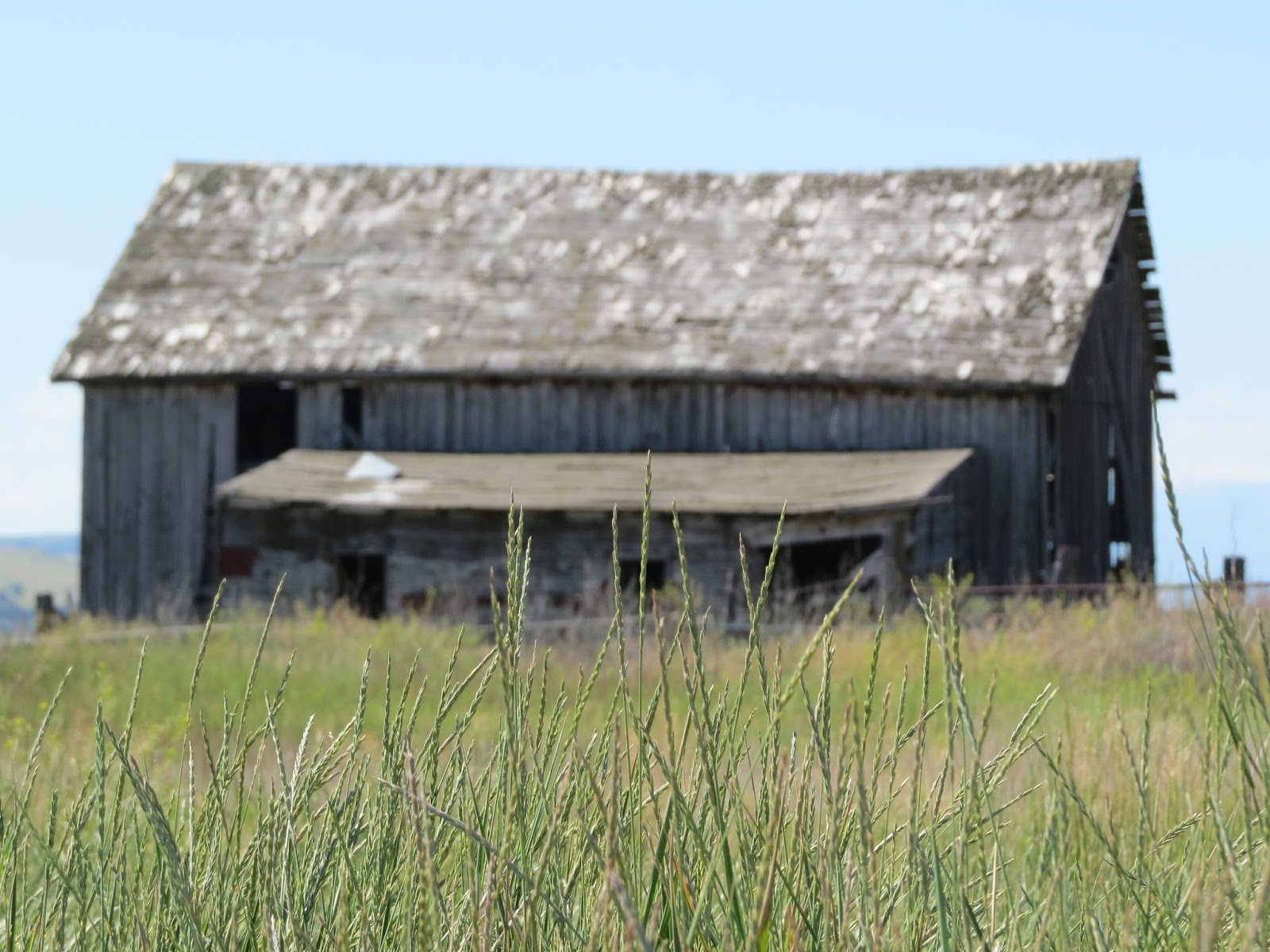 On the Road Abode Trading a zip code for a toad Three Parks, Three