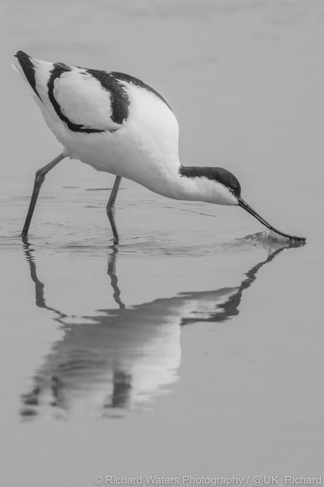 Richard Waters Photography