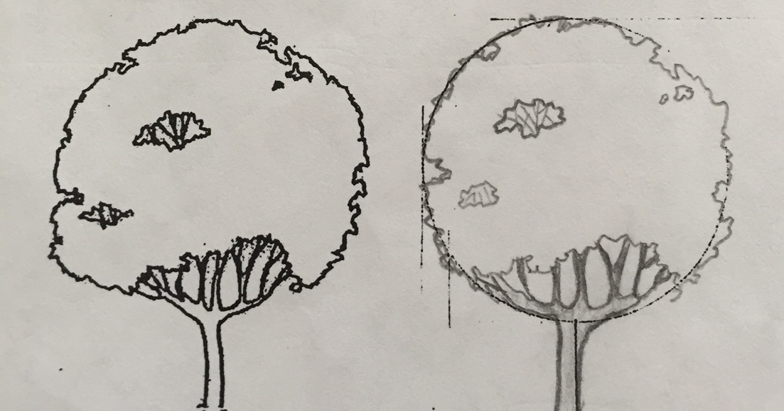 The Art of Architecture Architectural Drawing Exercise 3 and 4 The