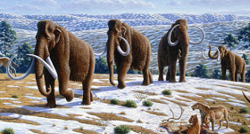 Cientificos estan a un paso de devolver la vida a los mamuts lanudos. Cientificos estan a un paso de devolver la vida a los mamuts lanudos.