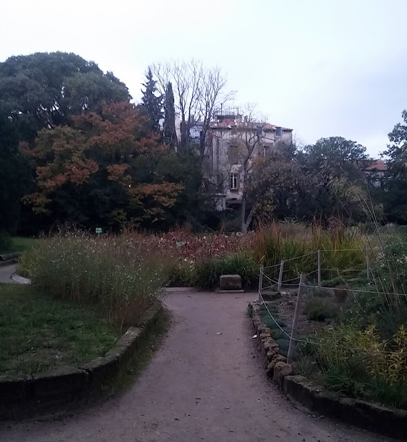 Le jardin des Plantes de Montpellier