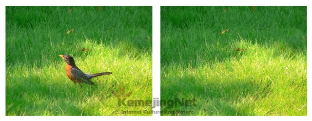 6 Foto Hasil Manipulasi Dengan Content Aware Photoshop 6 Foto Hasil Manipulasi Dengan Content Aware Photoshop