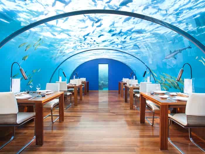 Ithaa Undersea Restaurant, Pulau Rangali - Maladewa Daftar 10 Restoran Paling Unik dan Aneh di Dunia Versi Tripadvisor Travellers
