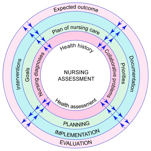 the-nursing-process-definition-and-purpose-education-articles