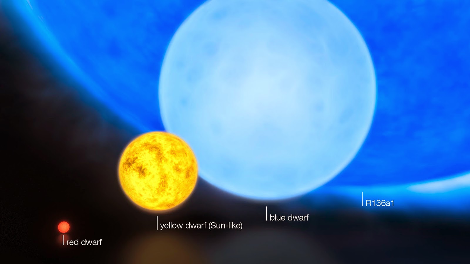 Starscale Behemoth Beyond Earthly Skies: Discovery of a Stellar Behemoth in Westerhout 49