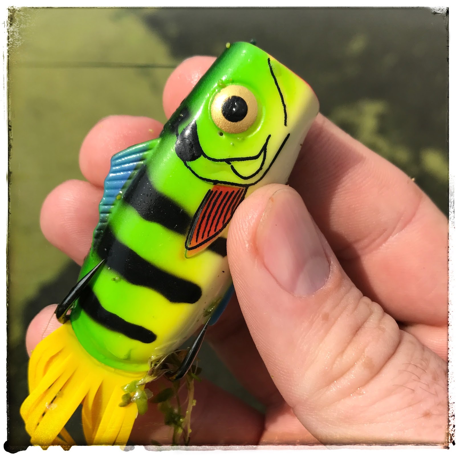 strike king popping perch