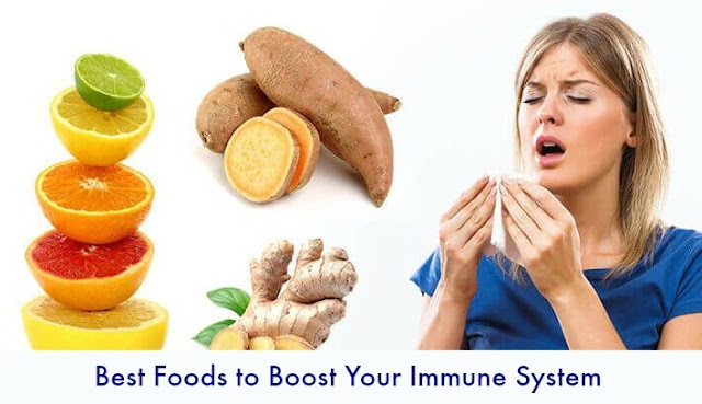 Best Foods to Boost Your Immune System Best Foods to Boost Your Immune System