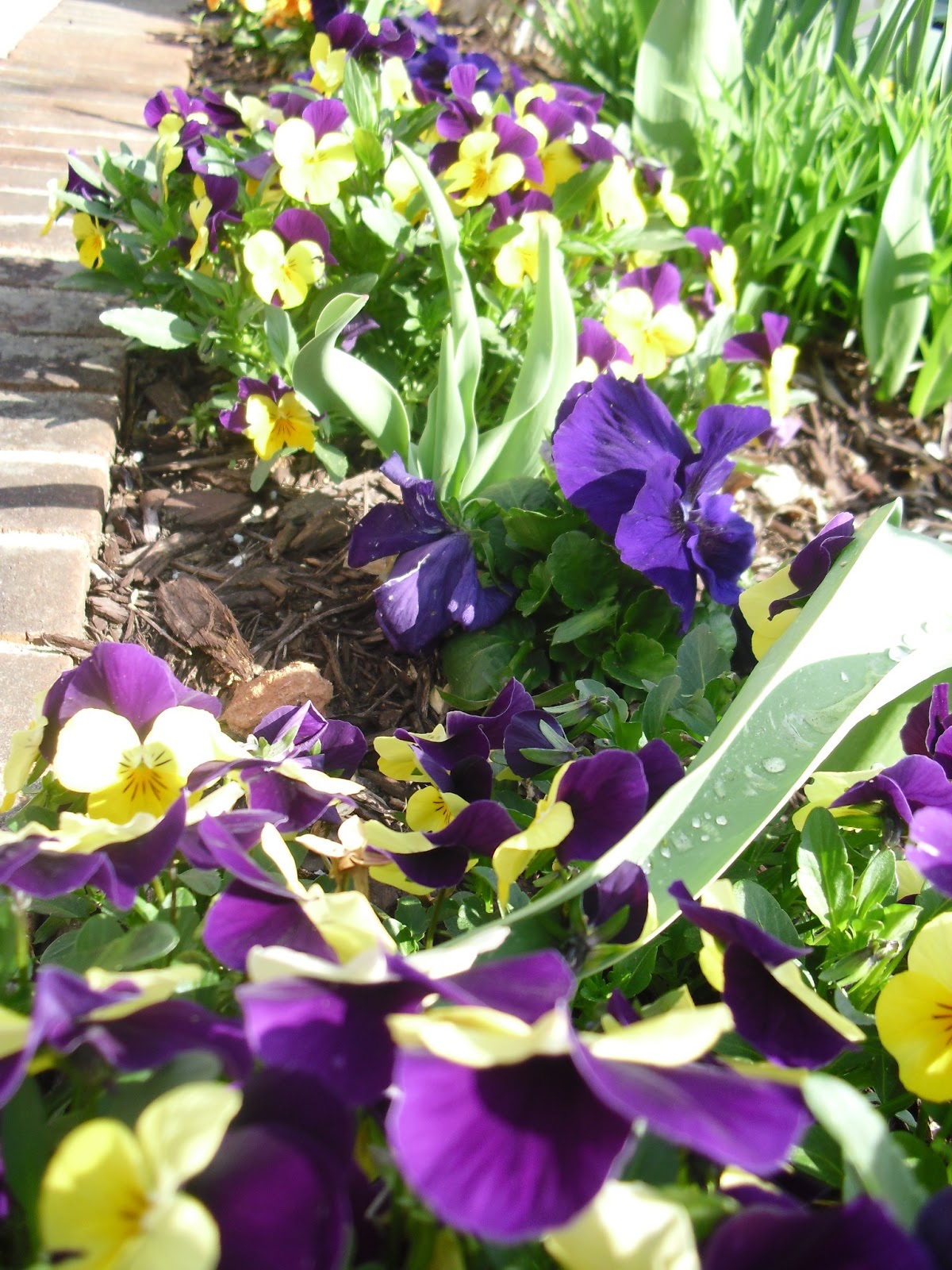 Travel NC With Kids Mocksville NC Main Street Offers Burst of