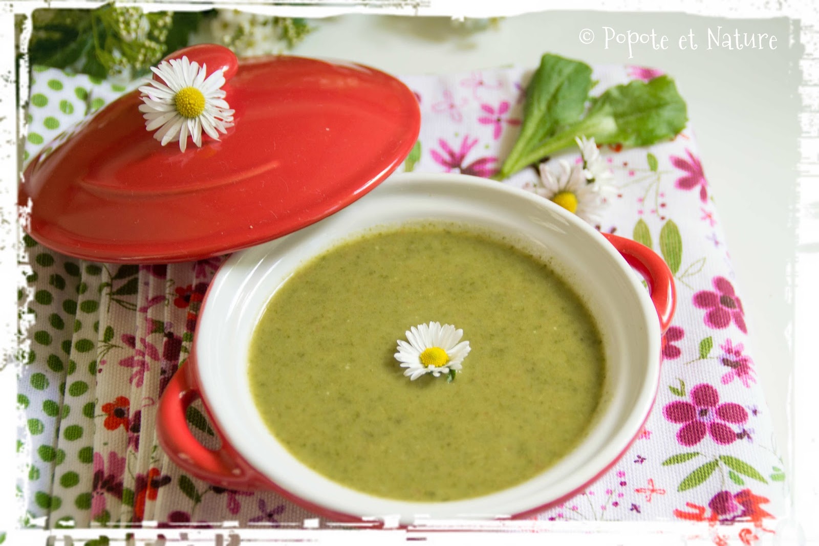 Que Faire Avec Des Fanes De Navets