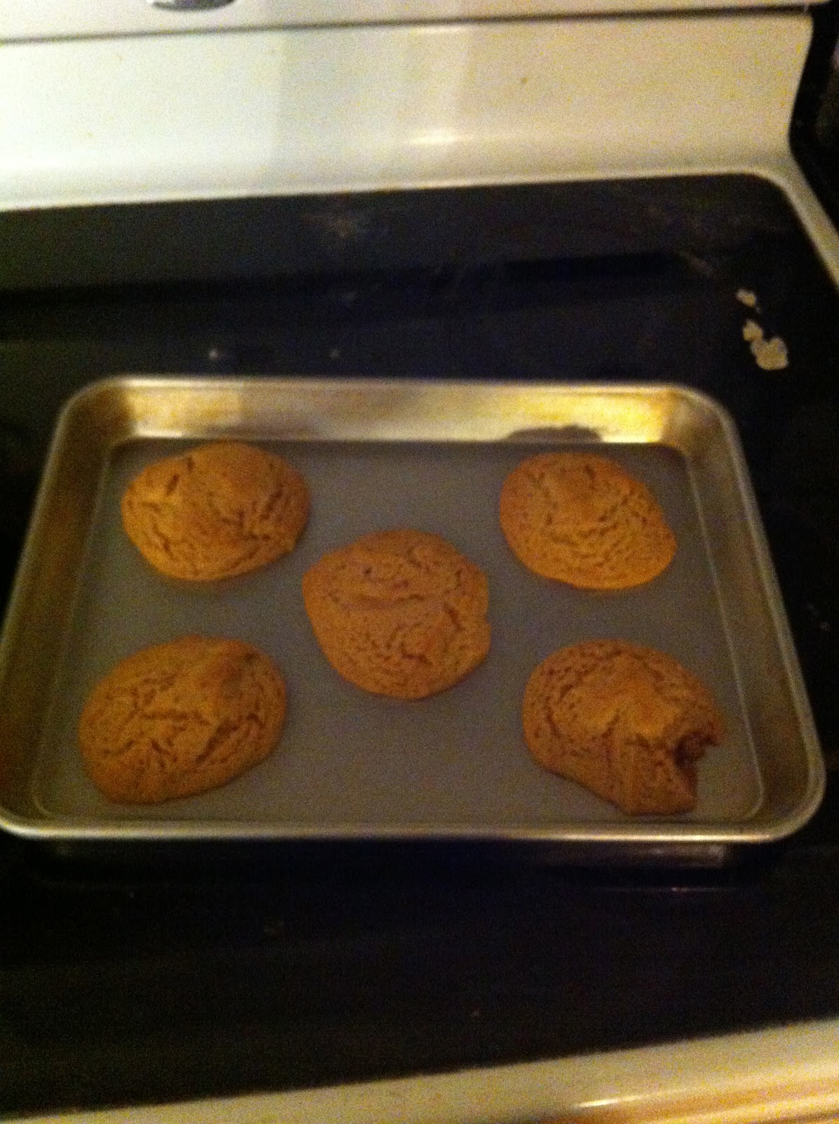 What Works and What Doesn't 36 calorie, no flour, peanut butter cookies