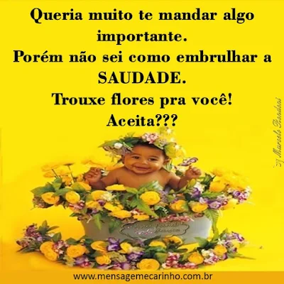 CARINHO134.jpg