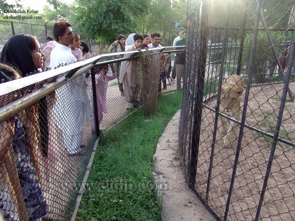 My Pakistan ) Rawalpindi