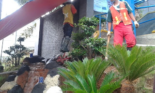 TUKANG TAMAN & KOLAM IKAN LIDO | JASA PEMBUAT TAMAN DI LIDO TUKANG TAMAN & KOLAM IKAN LIDO | JASA PEMBUAT TAMAN DI LIDO