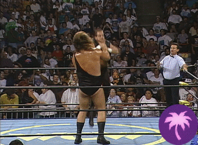 Clash17.gif