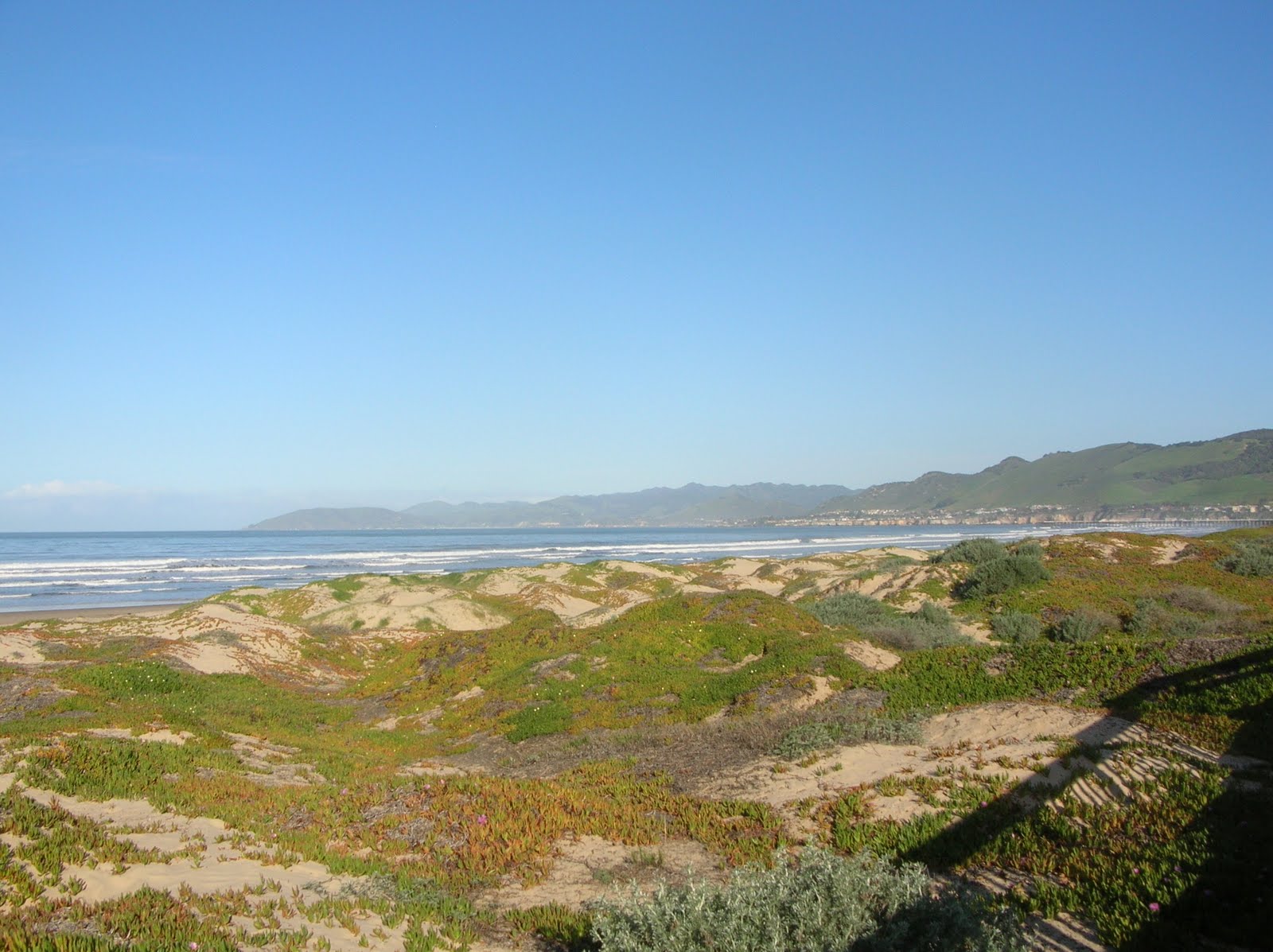 My Dinners w/ Richard & other musings TASTING IN ARROYO GRANDE