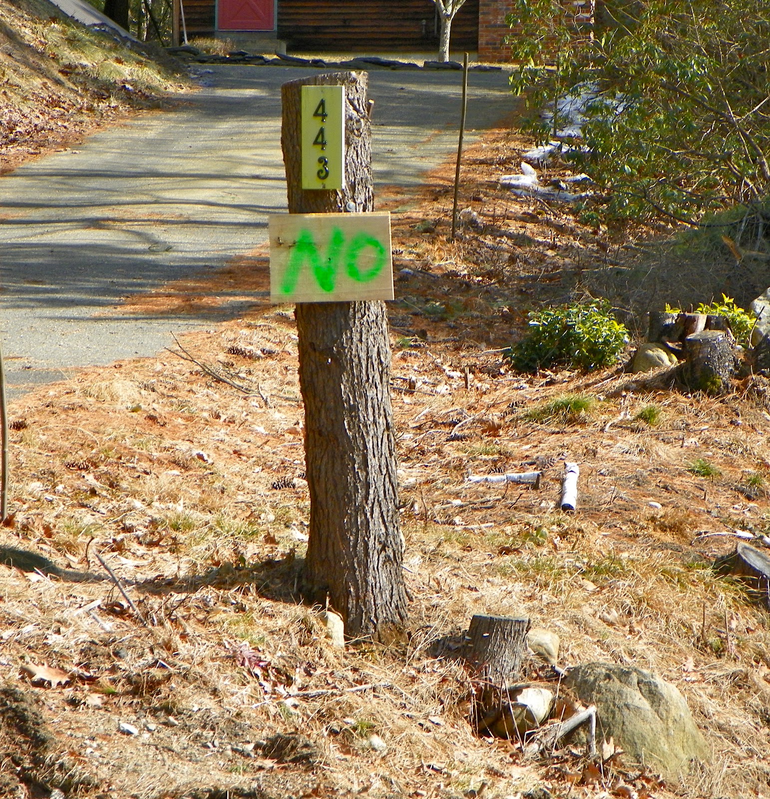 Only in The Republic of Amherst Shutesbury Library Noose Tightens