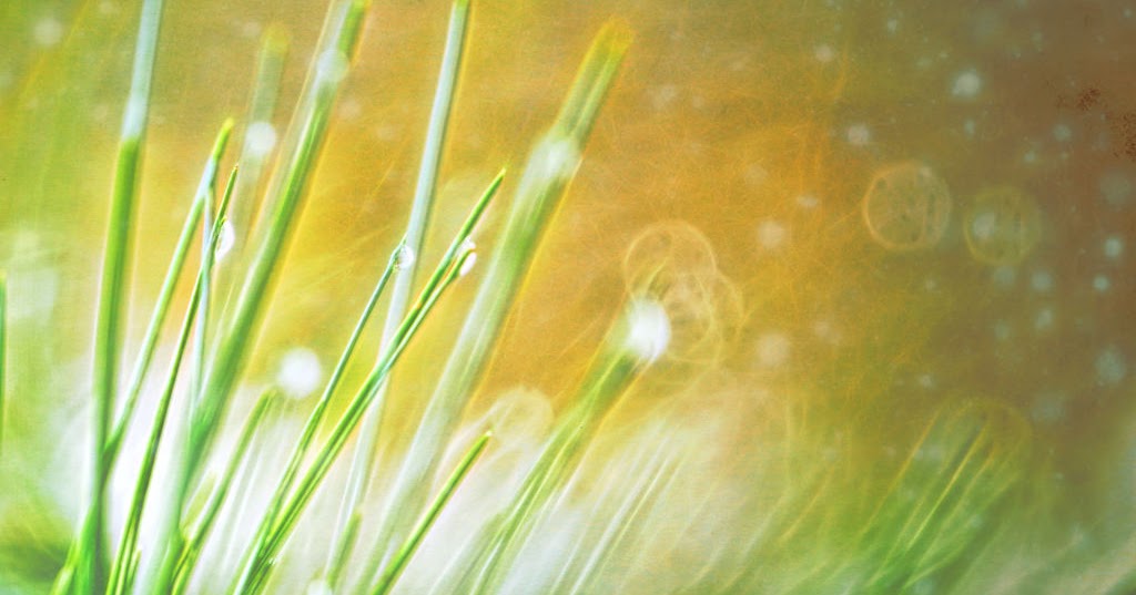 GWImages Why Do You Walk Through the Fields in Gloves...