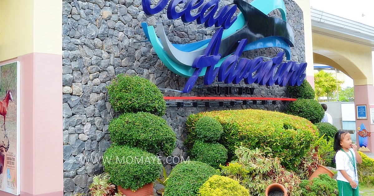 Groupon Finding Things To Do Easy and Affordable