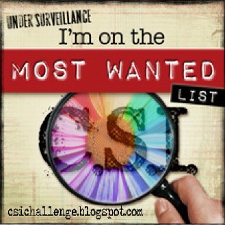 CSI Under Surveillance Badge