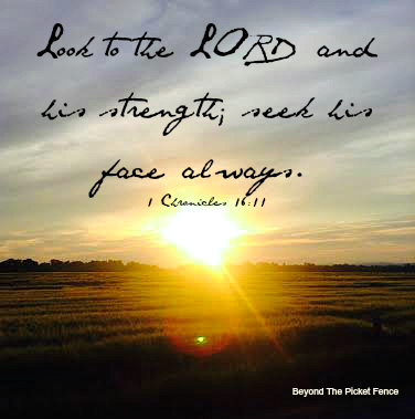 Seek God, bible verse, faith, God's Word, strength, http://bec4-beyondthepicketfence.blogspot.com/2015/07/sunday-verses.html