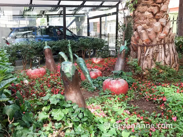Barış Manço müzesinin bahçesinde domates biber patlıcan