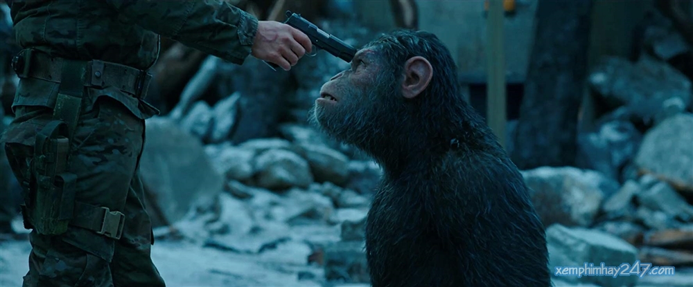 http://xemphimhay247.com - Xem phim hay 247 - Cuộc Chiến Trên Hành Tinh Khỉ (2017) - War For The Planet Of The Apes (2017)