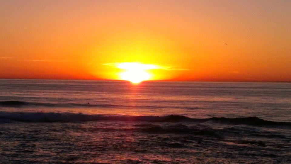 Pillar to Post PICTURE(S) WORTH A 1000 WORDS / SAN DIEGO