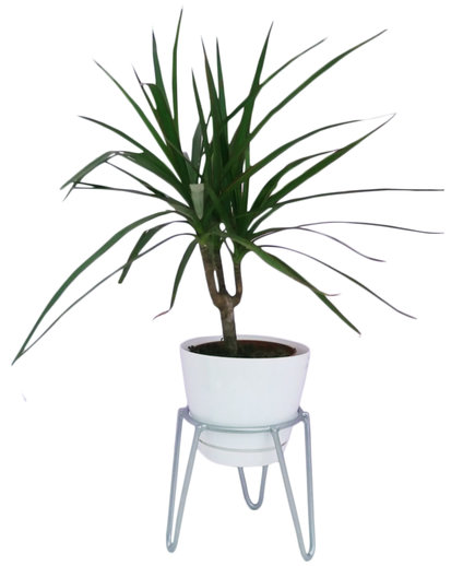 Midcentury Hairpin Legs Wire Plant Stand