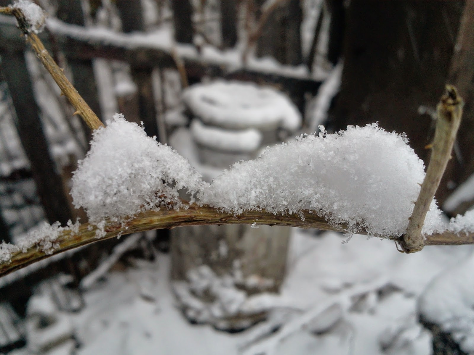Почему тает лед. Тает ли снег при 0. Тает ли снег при 0. Тает снег. Тает ли снег при 0.