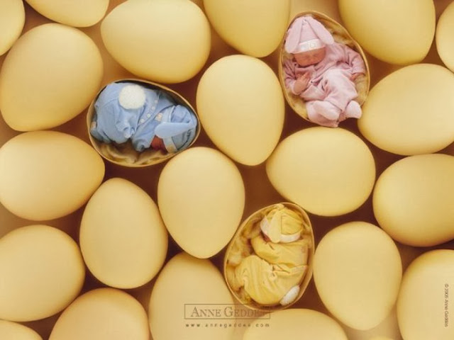 World Egg Day - Παγκόσμια Ημέρα Αβγού
