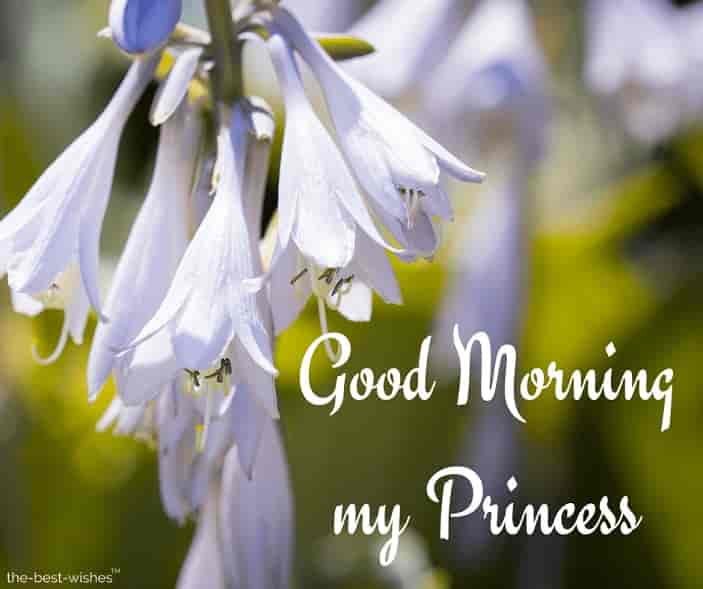 good-morning-my-princess-image good morning my princess image