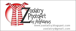PhotoArt by Zoolatry