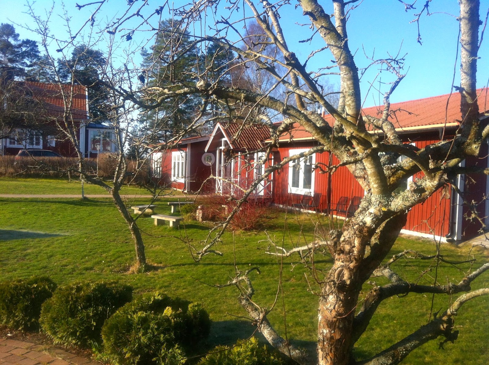 Syninge visade sig från sin bästa sida den här helgen!
