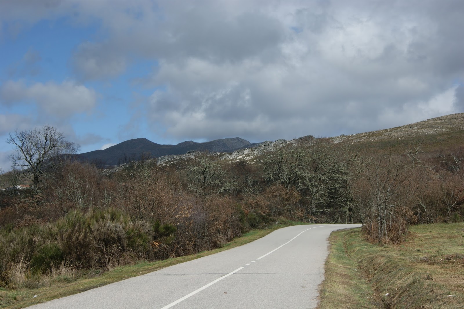 Disto e Daquilo Montalegre