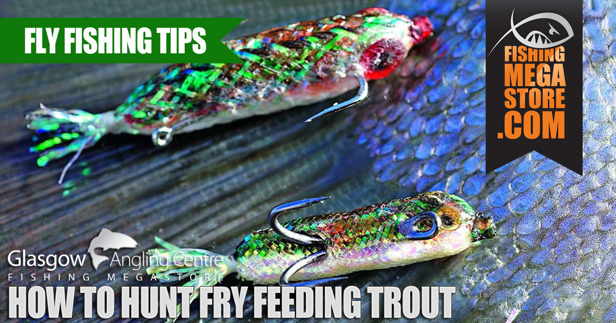 How To Hunt Fry Feeding Trout