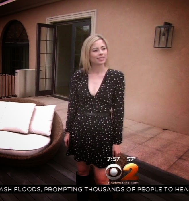 THE APPRECIATION OF BOOTED NEWS WOMEN BLOG CBS NEW YORK'S EMILY SMITH