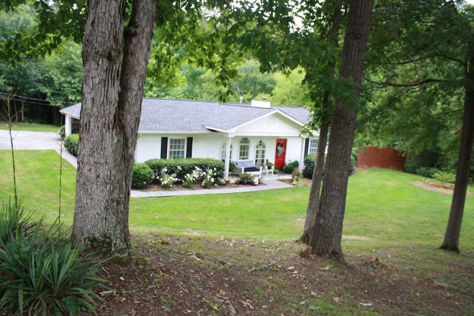 The little white cottage in the woods: Away from the garden