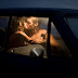 Study Says Driverless cars will lead to more sex on the road
