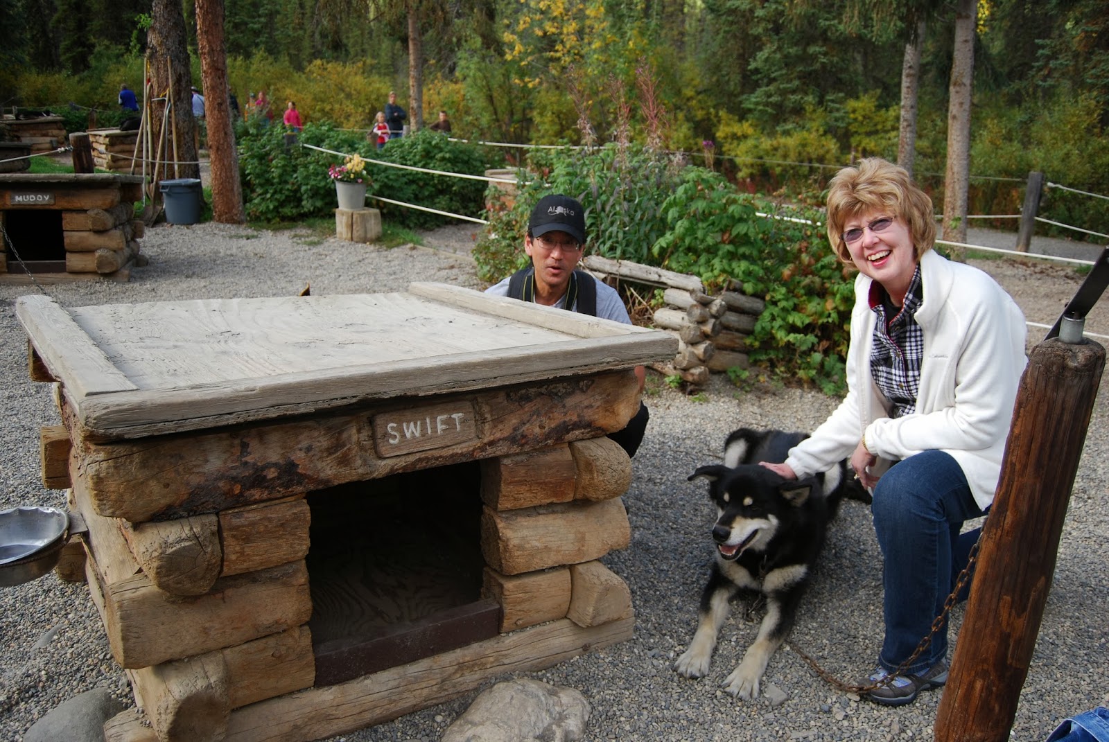 Denali Park In Winter You'll Be Able To Go In The Park