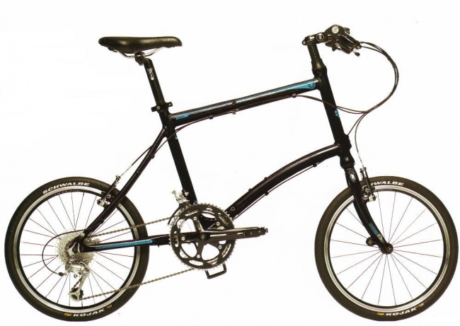 jual dahon dash