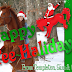 A Horse Christmas Carol Happy Yee Halidays By Templeton...